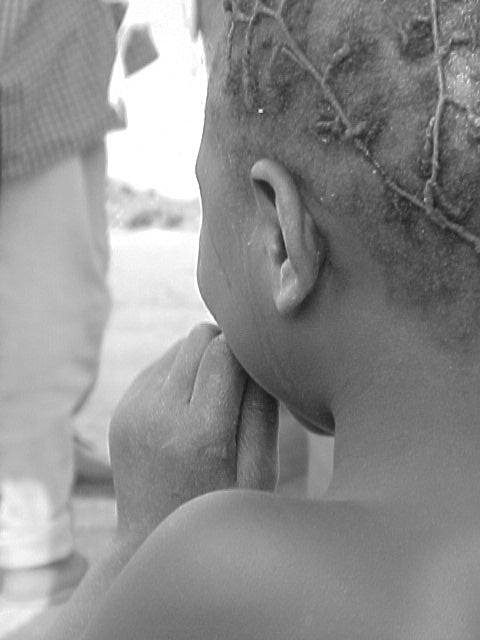 OU SONT PASSEES LES&nbsp;GAZELLES