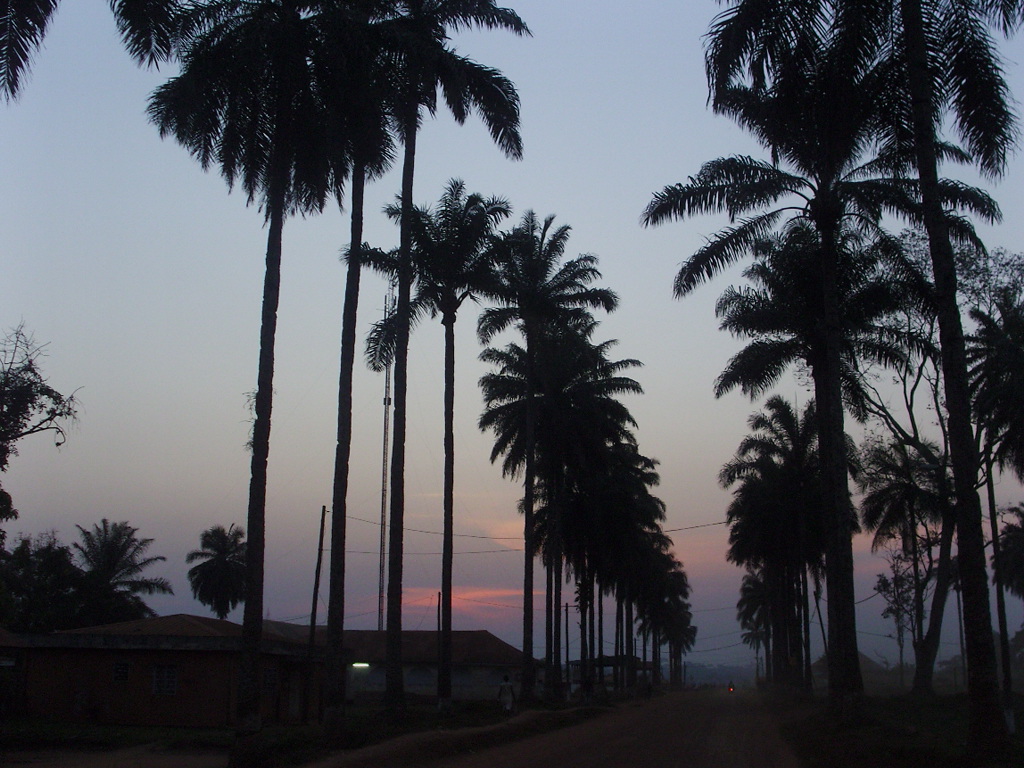 DJOUM ET ALORS&nbsp;?