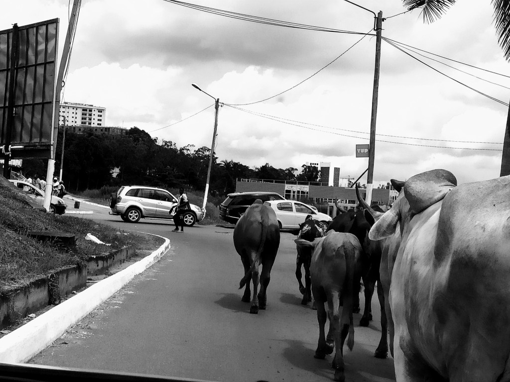 LA PROMESSE DE&nbsp;L&rsquo;AUBE