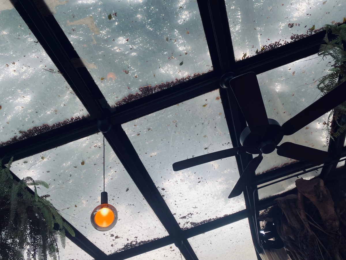 LA PLUIE AVANT QU&rsquo;ELLE&nbsp;TOMBE