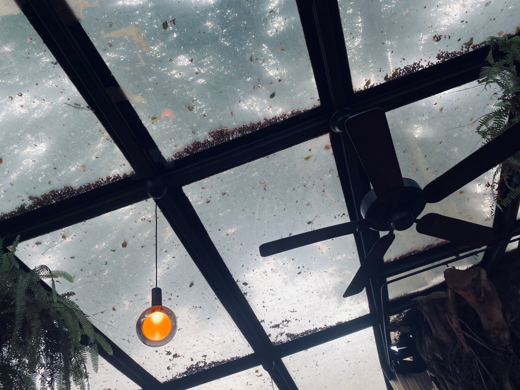 LA PLUIE AVANT QU&rsquo;ELLE&nbsp;TOMBE